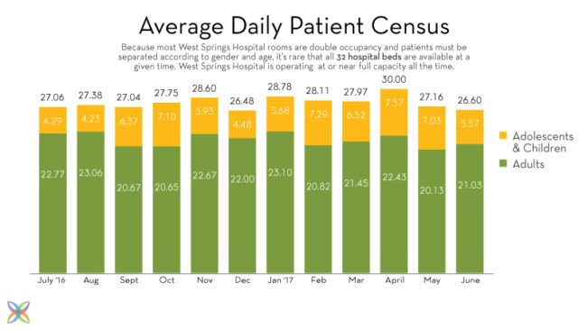 West Springs Hospital Informatics FY 2017