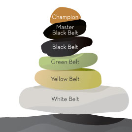 Lean Six Sigma Rocks