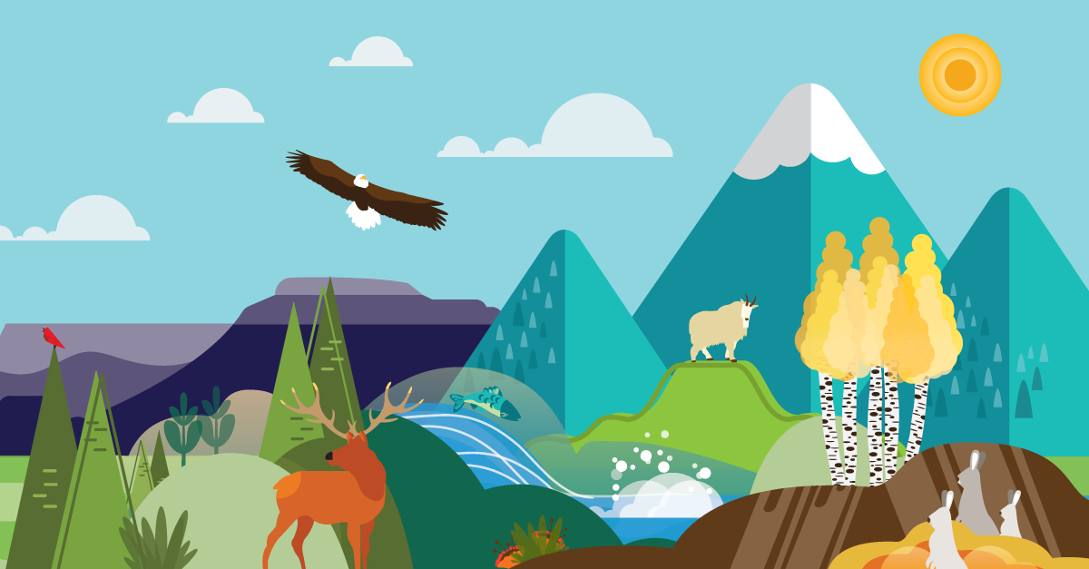 Illustration of Eagle Flying