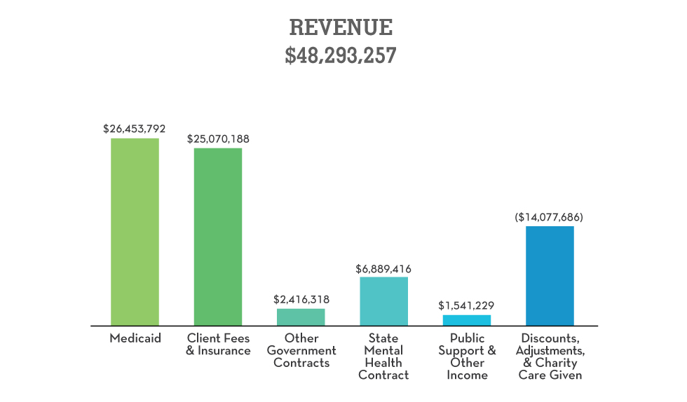 Mind Springs Health 2017 Revenue