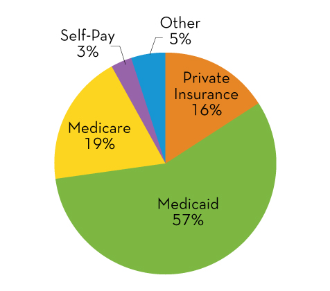 Hospital Payer stats