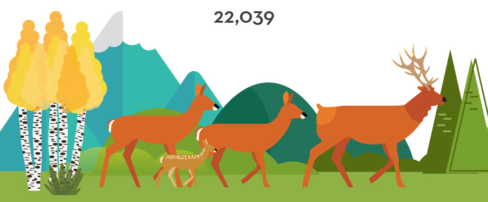 Elk graphic