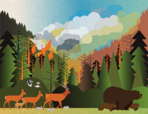 Mountain Fire graphic