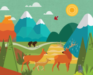 Bears on bike graphic