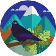 Bird on limb illustration
