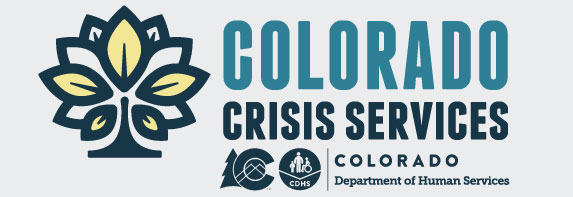 CCS Logo