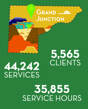FY20 AR Mesa County Stats