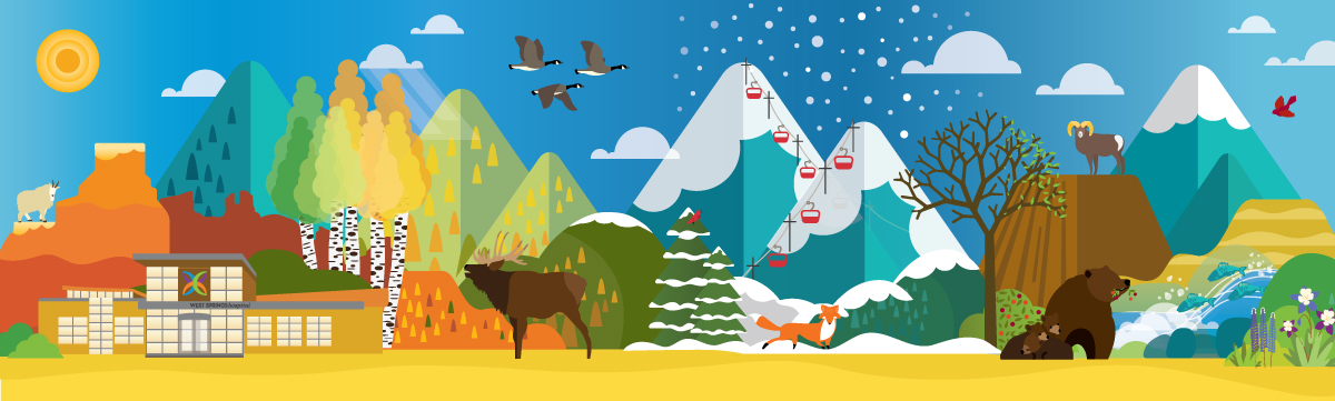MSH banner